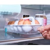 image:imageJoseph Joseph FridgeStore XL Fridge Storage Drawer Caddy  ExtraLarge Organizer with Handle and Wheels for Easy Access BPAFreeEgg Holder